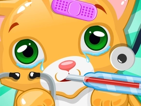 Pawsome Pet Care: The Veterinarian Adventure