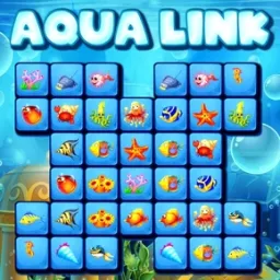 Aqua Bağlantı
