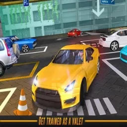 Park Master: Classic Car Challenge