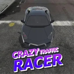 Çılgın Trafik Yarışçısı