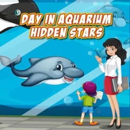 Aquariumda Gizli Yıldızlarla Bir Gün