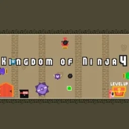 Ninja Krallığı 4