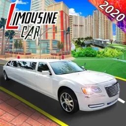 City Limousine: Deluxe Wedding Taxi Driver
