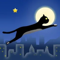 Hızlı Kedi Bay Mister