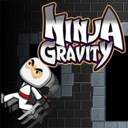 Ninja Tower Leap
