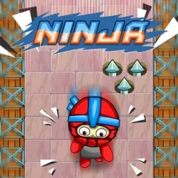 Ninja Fury: The Ultimate Coin Collector