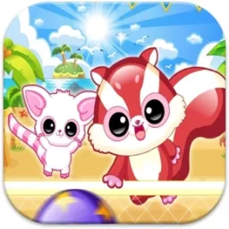 Racoon Kafakolu