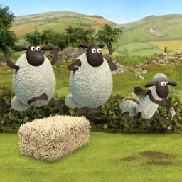 Shaun The Sheep Uzaylı Atletizm