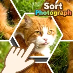 Fotoğrafı Sırala