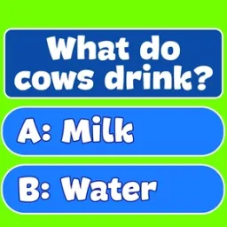 Trivia! En iyi aile bilgi yarışması